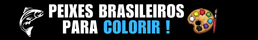 Peixes brasileiros para colorir